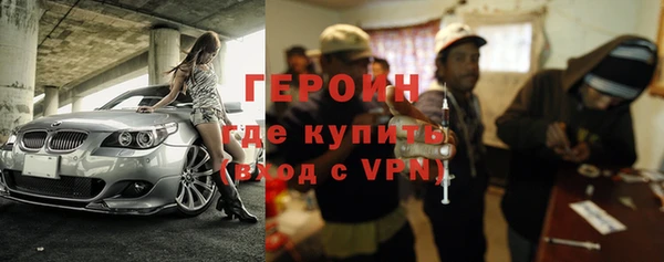 индика Богородицк