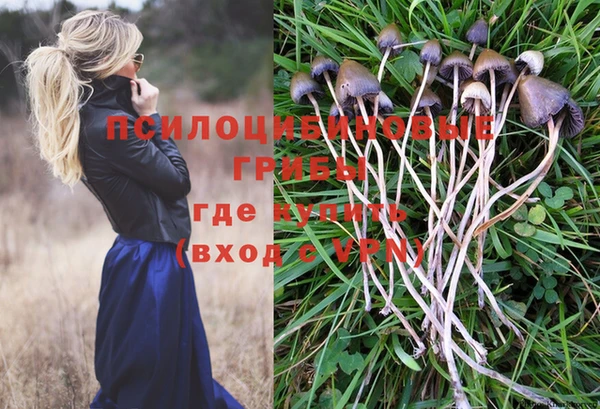амфетамин Белокуриха